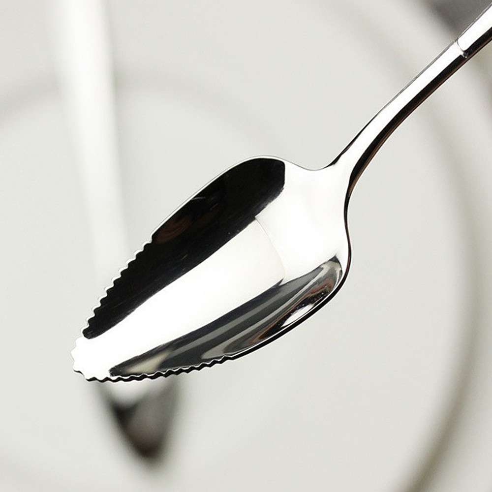 10Pcs Long Handle Stainless Steel Spoons Fruit Grapefruit Spoon Mirror Polishing Dessert Coffee Stirring Spoons Tea Spoons 17cm_voghion.com