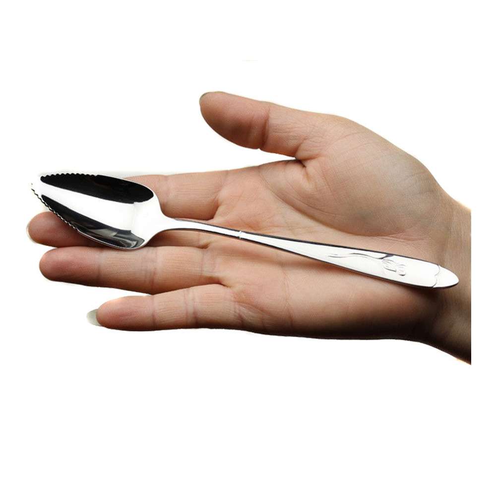 10Pcs Long Handle Stainless Steel Spoons Fruit Grapefruit Spoon Mirror Polishing Dessert Coffee Stirring Spoons Tea Spoons 17cm_voghion.com